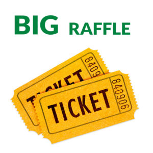 Big Raffle Individual Tickets